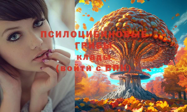 СК Алексин