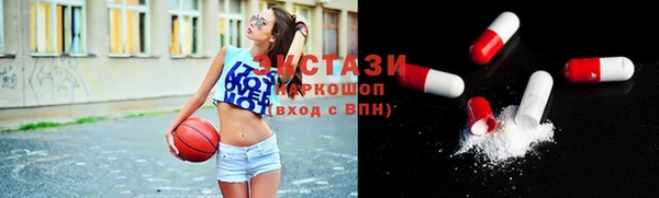 СК Алексин