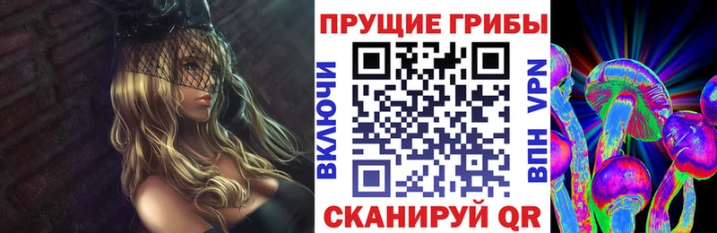 Галлюциногенные грибы Psilocybe  площадка наркотические препараты  Ставрополь 